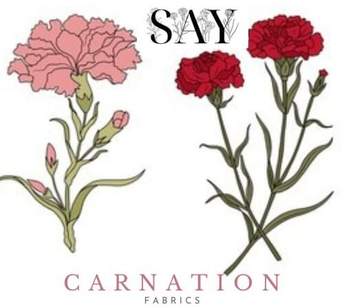 carnation.careersmartguru.com